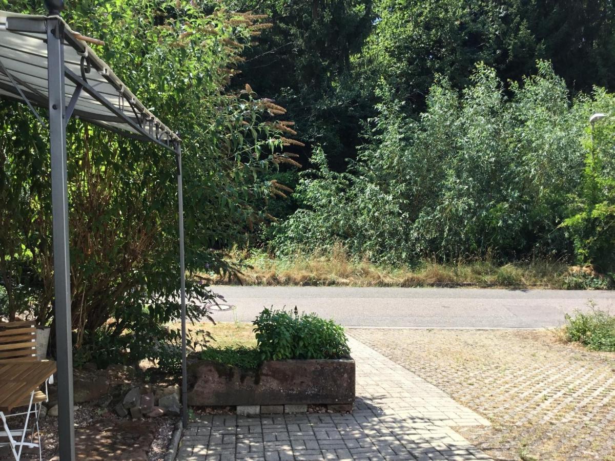 Ferienwohnung Casa Bianca Offenburg Dış mekan fotoğraf